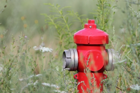 red hydrant beeing eaten by the wild plants growing nearbyの写真素材