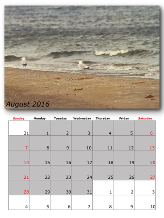 august calendar page with nature imageの写真素材