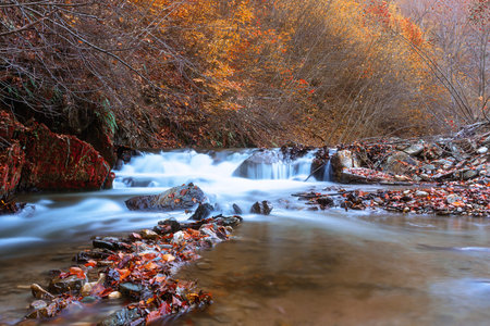 autumn waterfall detail in Apuseni mountains at Scarita Belioara,
