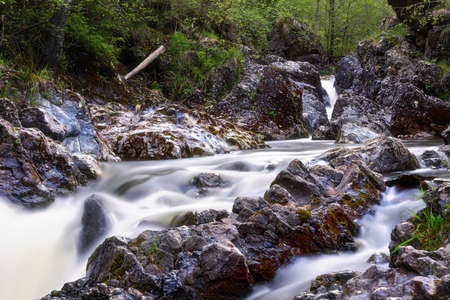 rapid mountain stream flowing over rocks in Apuseni mountains, Romania