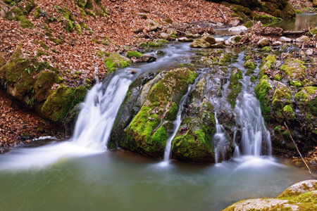 waterfall deep into the woods of Apuseni mountains; beautiful gorge of Borzesti, a natural area in Transylvaniaの写真素材