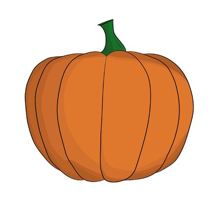Isolated coupled orange pumpkin vector.のイラスト素材