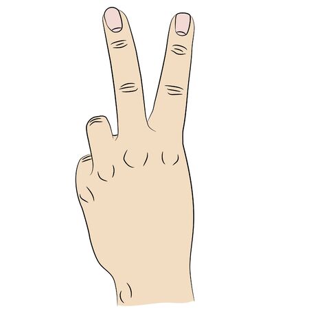 Isolated front of the hand gesturing victory sign. Index and middle fingers raised and parted and other fingers clenched.のイラスト素材