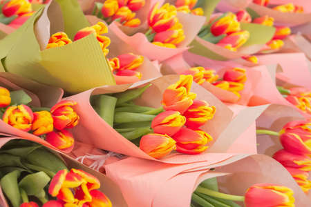Background of bukets of red and yellow tulips.の写真素材