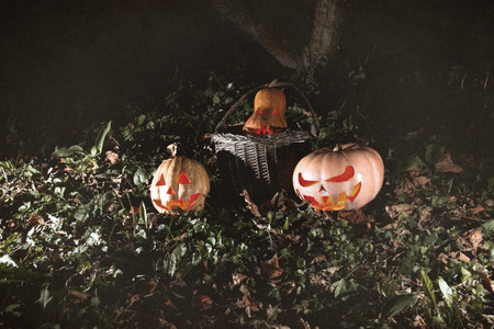 halloween three pumpkins in leaves and grass in the dark, scary and creepy fun pastelの写真素材