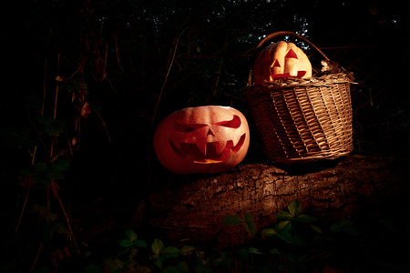 Halloween scary and funny pumpkins on a log in a basket in the darkness with the glow from the insideの写真素材