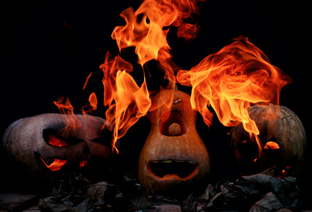 Three Very scary and dangerous Halloween pumpkins, with a threatening look and a grinning villain, in the darkness on a wooden pallet, with leaves spewing flames of fireの写真素材