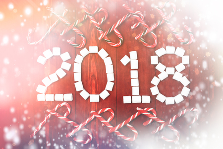 Christmas composition New Year 2018 marshmallow and sweets, candy sticks with snowflakes on red...