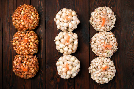 Yellow onion, Seedlings, Growing onions in bag mesh. Many of growth onion plantations.  Countryside herb and vegetable. Sale on farmers's market. Copy space for textの写真素材