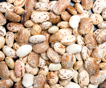 Big Light white bean grain, bean pod, a lot of beans texture pattern background for web design and saleの写真素材