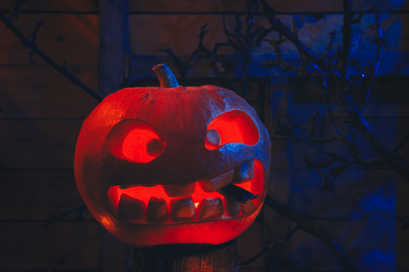 Concept of Halloween. glowing orange and blue light with angry terrible pumpkin, leaves, jack-lamp with candle of a happy Halloween, on a wooden backgroundの写真素材