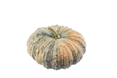 pumpkin isolated on white backgroundの写真素材