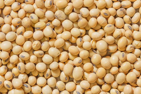 An image of soy beans