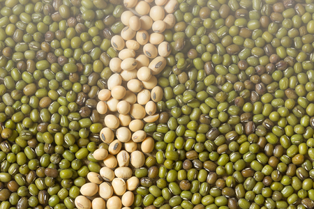 soy beans and green beansの写真素材