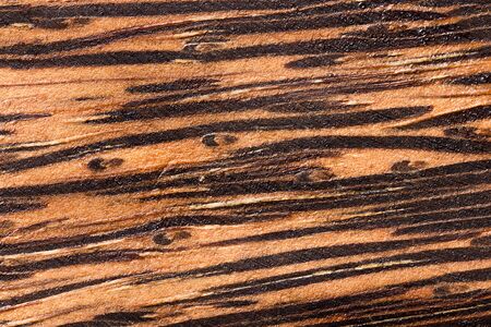Closeup of wood texture background