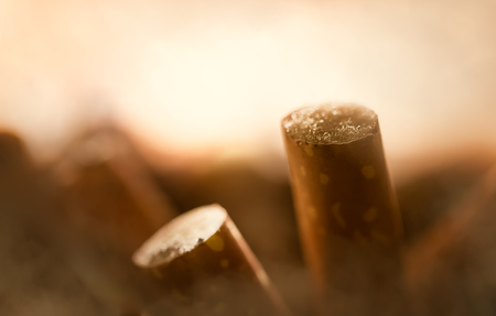 Closeup of cigarette butts,Backgroundの写真素材