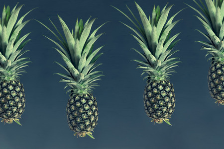 Ripe pineapple on blue backgroundの写真素材