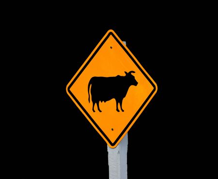 Warning sign for cow on black backgroundの写真素材