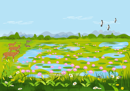 View of the lotus pond with deer and flowers. There are forests and mountains as background.のイラスト素材