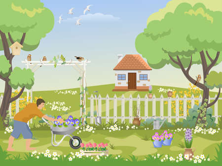 Man gardening flowers in a white front yard with white fence and a small house in the background.のイラスト素材