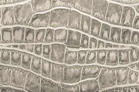 White Leather background textureの写真素材