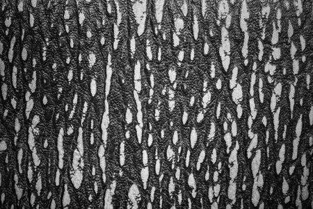 Black and white  leather texture backgroundの写真素材