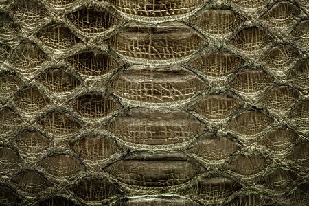 Dark gold  python  leather, skin texture for background.の写真素材