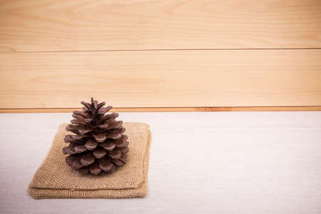 Pine cone on serving mat as background with copy space.の写真素材