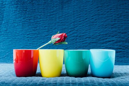 roses in a cup on blue background