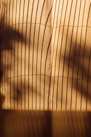 Trees shadow on the curtain vintage style, abstract background