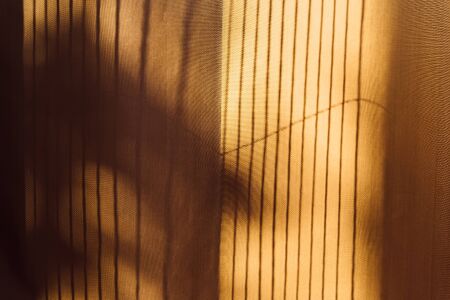 Trees shadow on the curtain vintage style, abstract backgroundの写真素材