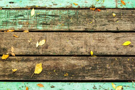 Old wooden background with leaves.の写真素材