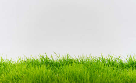 Green grass and white wall, abstract texture background.の写真素材