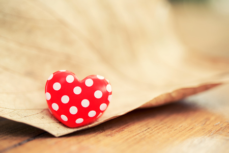 Red heart on dry leaf. Valentine's Day backgroundの写真素材