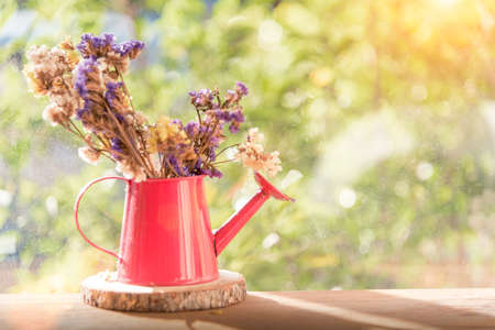 Beautiful dry flower in pot on wood table with morning sunrise. Fresh nature background.の写真素材