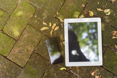 Blank screen of mobile and tablet put on wood in nature outdoor. Technology and environment concept background.の写真素材