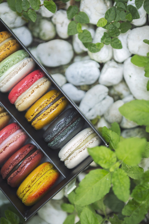 Mixed colorful french macaroons on box put on nature, white stone and green leaves.の写真素材