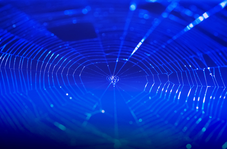 Closeup spiderweb with dark blue background. Network connection concept. Picture for add text message. Backdrop for design art work.の写真素材