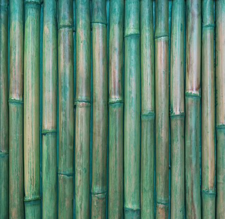 Abstract background from bamboo pattern wall with green painted. Retro and vintage. Picture for add text message. Backdrop for design art work.の写真素材