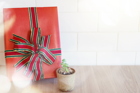 Closeup of red gift box with small tree pot on wood table and white wall. Can use for Happy new year, Merry Christmas, Happy birthday and another celebration background.の写真素材