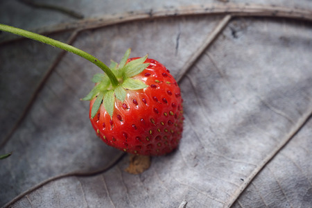 Strawberryの写真素材