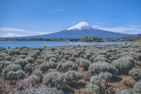 Mt.Fuji and blue sky in Japanの写真素材