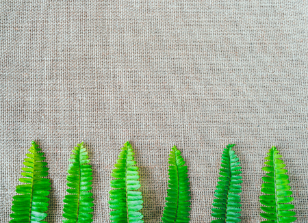 Green leaf frame on a brown sack background.の写真素材