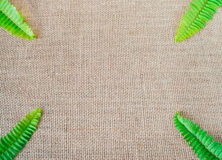 Green leaf frame on a brown sack background.の写真素材