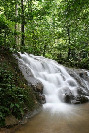 Waterfall amidst the rich forest. In Phang Nga province, Thailandの写真素材