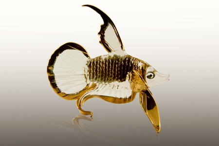 Thai Betta の写真素材