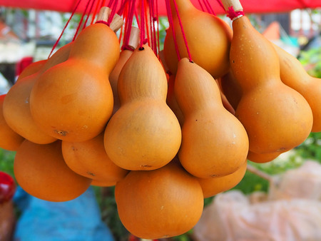 The gourd dry together.の写真素材