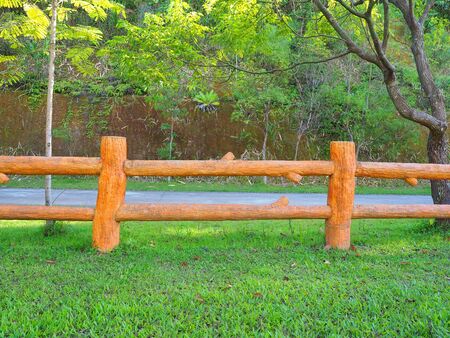 Yellow cement fence and lawnの写真素材