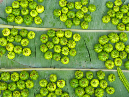Green Eggplant on banana leafの写真素材