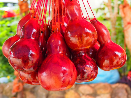 The gourd dry together.の写真素材